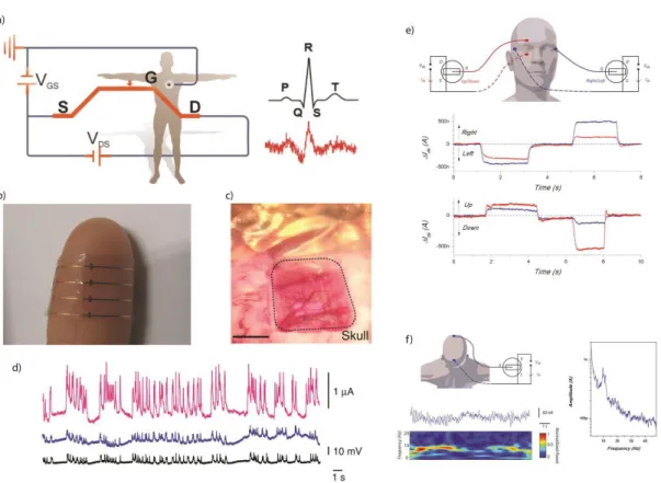 Figure 1.8: OECTs for measuring electrogenic cells: a. ECG recording with an OECT  operated  in  direct  contact  with  the  skin