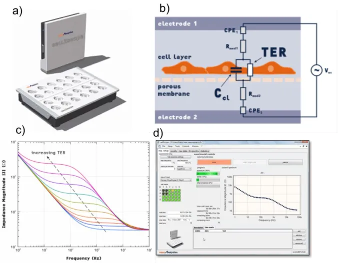 Figure  2.7:  The  CellZscope  (a).  CellZscope  device  (b).  Equivalent  circuit  for  cell  layer  grown  on  porous  filter  (c)