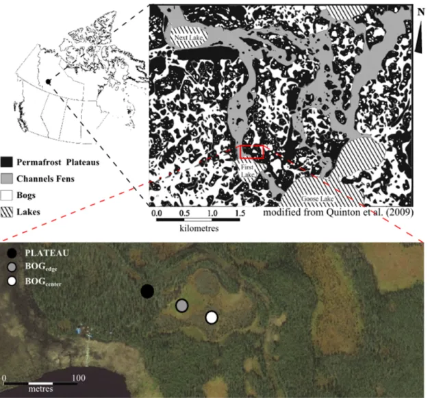 Fig ure 4: Site  map and s atel lite image f rom 2015 showi ng cori ng  location (©BI NG,  2015) 