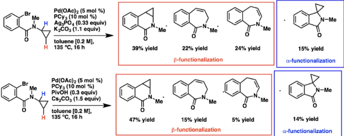 Figure 14 demonstrates a proposed mechanism involving oxidative addition (A), halide  abstraction (B), and a CMD step to render the seven-membered palladacycle (C)