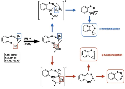 Figure  15  summarizes  mechanistic  explorations  into  alpha-  and  beta-cyclopropane  functionalization via intramolecular palladium-catalyzed arylation