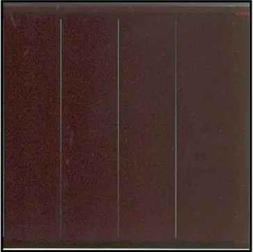 Figure I.6: Cellule Amorphe [5]. 
