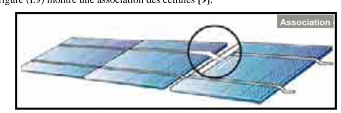 Figure I.9: Association des cellules [9]. 