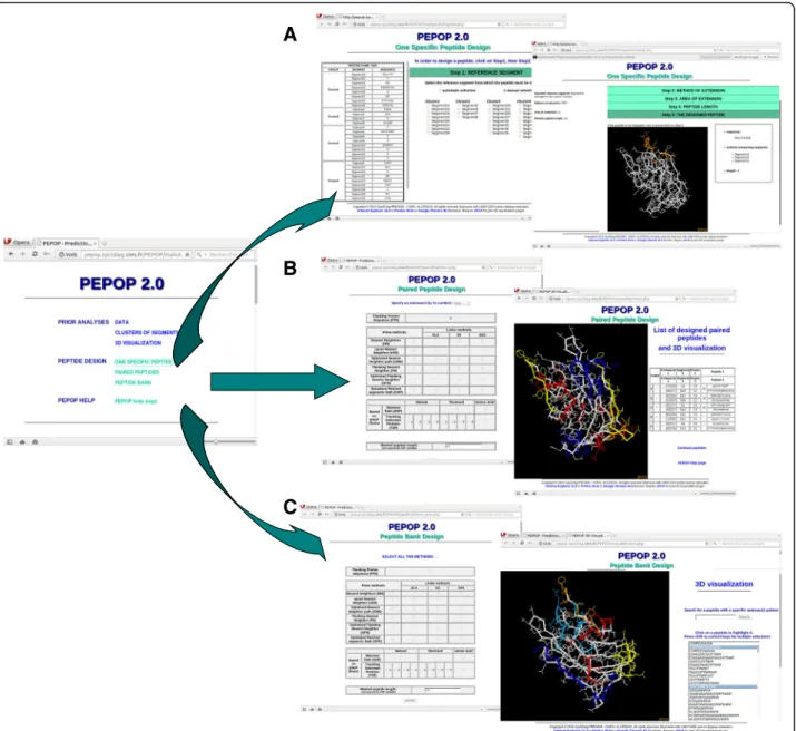 Fig. 1 PEPOP 2.0 web-site. The first result page of PEPOP 2.0, after the user gives the 3D structure of the protein, proposes 3 different ways to design peptides