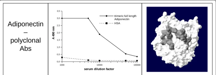Fig. 2 Reactivity of mouse immune serum raised using a “ discontinuous ” peptide against trimeric full length adiponectin (LMW adiponectin) and a control protein (HSA)