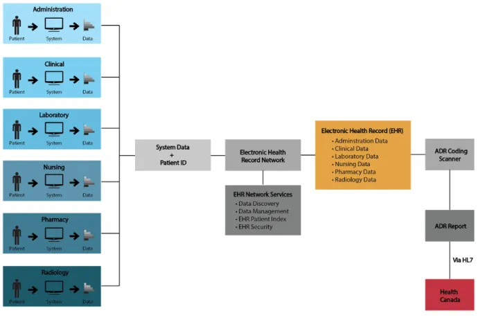 Figure 1  Electronic Health Record and automated ADR reporting system interoperation. 