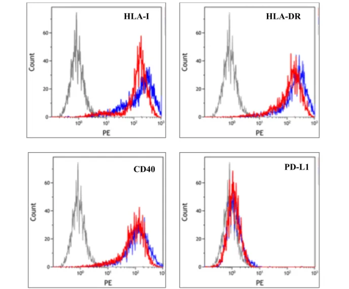 Figure 2.  Flow histograms of a representative experiment on cell line Bjab showing expression of HLA-I, HLA-DR, PD-L1 and CD40  following rituximab treatment (red lines) or hIgG treatment (blue lines).correlated with increasing concentrations of rituximab