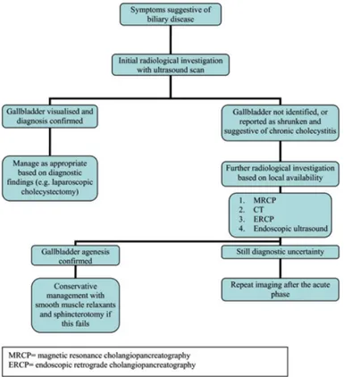 Figure 5. Decisional algorithm in suspected gallbladder  agenesis proposed by Malde (6)