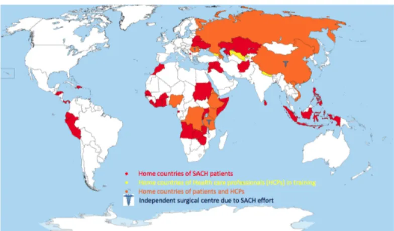 Figure 5. Visualization of SACH’s international impact.