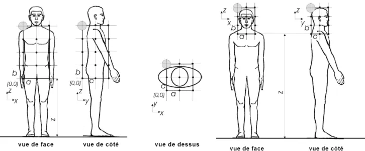 Figure N° 8 : grille de mesurage du torse (à gauche) et de la  tête (à droite).  