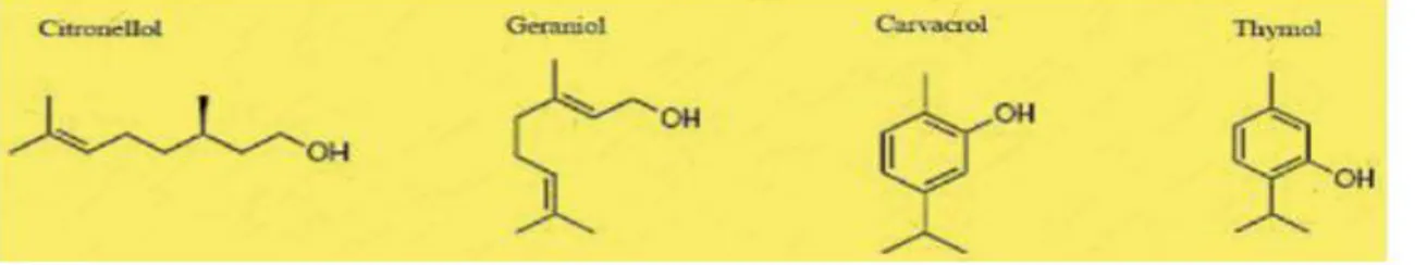 Figure 02 : Structure chimique de certains monoterpènes (Bakkali et al                   Composés aromatiques   