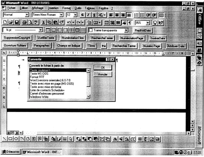 Figure 2 : Conversion en texte seulement. 