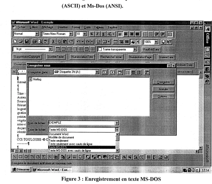 Figure 3 : Enregistrement en texte MS-DOS 
