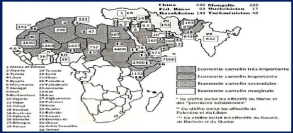 Figure 04: Effectifs des camelins dans les pays d'Afrique et d'Asie (LAAMECHE, 2010) 