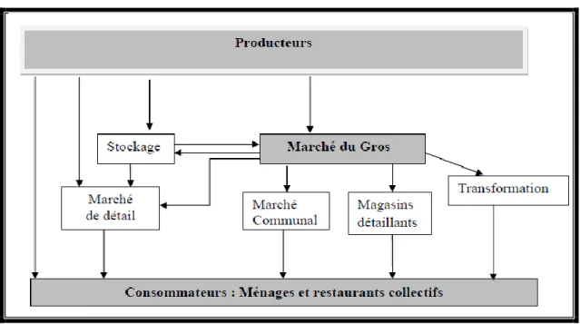 Figure 05 : Les différents circuits de distribution de pomme de terre(MADRP, 2018). 