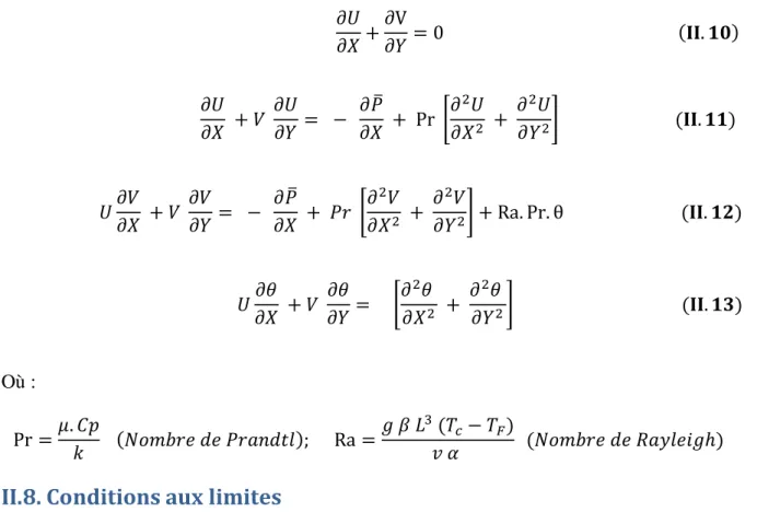 Figure II.2 : Les conditions aux limites. 