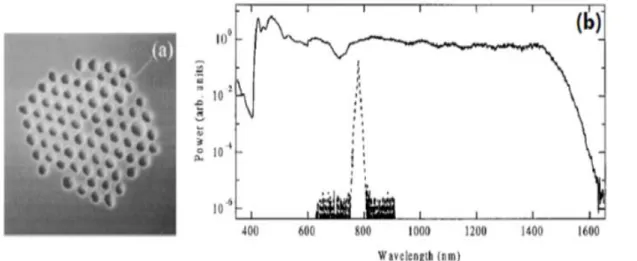 Figure I.3 : (a) Fibre microstructurée utilisée dans la référence; (b) Spectre mesuré  dans la Référence