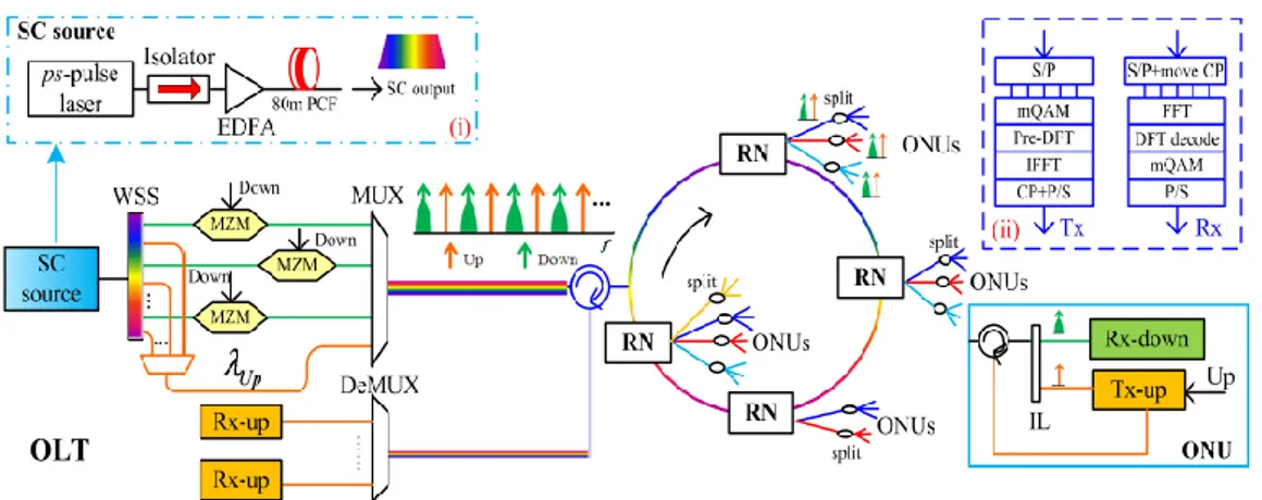 Figure I.4 : Architecture de réseau d'accès pré-OFDM avec une source PCF-SC  unique.[41] 