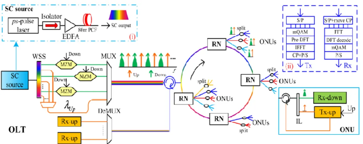 Figure I.4 : Architecture de réseau d'accès pré-OFDM avec une source PCF-SC  unique.[41] 