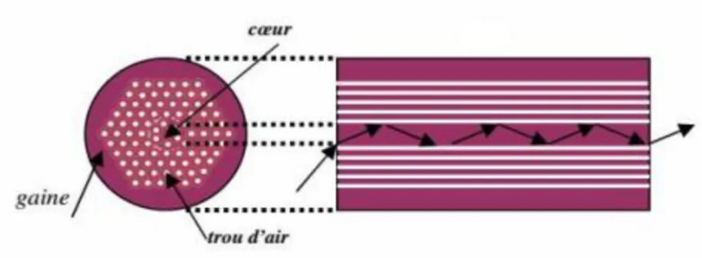 Figure II.8 : Schéma descriptif de la propagation par réflexion totale interne modifiée  dans une fibre microstructurée à cœur plein [21]