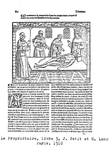 graphique  habituel  du  Proprietaire,  nous  parait  plutot  inspiree  de  1 1 il- il-lustration  du  Fasciculus  medicinae  imprime  a  Venise  chez  J