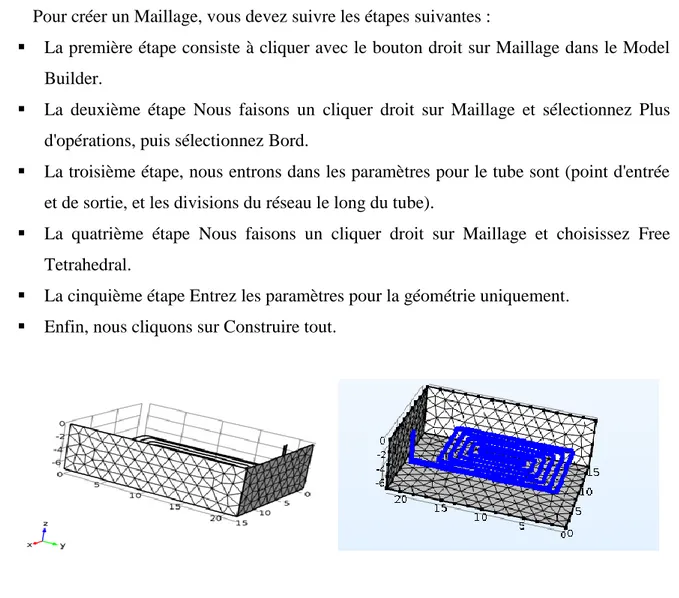 Tableau III.3: Caractéristiques du maillage. 