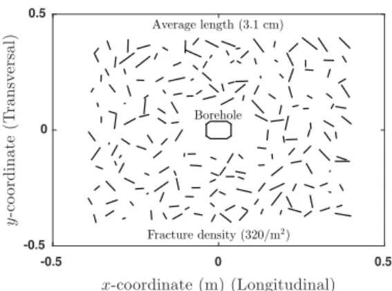 Figure 7: A set of space randomly distributed joints is generated around the borehole to study fracture interaction and shear–slip micro–seismicity