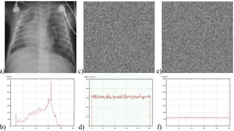 Figure 10.7. a) Original image, b) histogram of original image,  c) image of the dynamic key z i , d) histogram of the values of the dynamic key z i ,  e) final encrypted image with the coding algorithm by asynchronous stream cipher, 