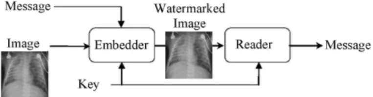 Figure 10.10. A watermarking chain 