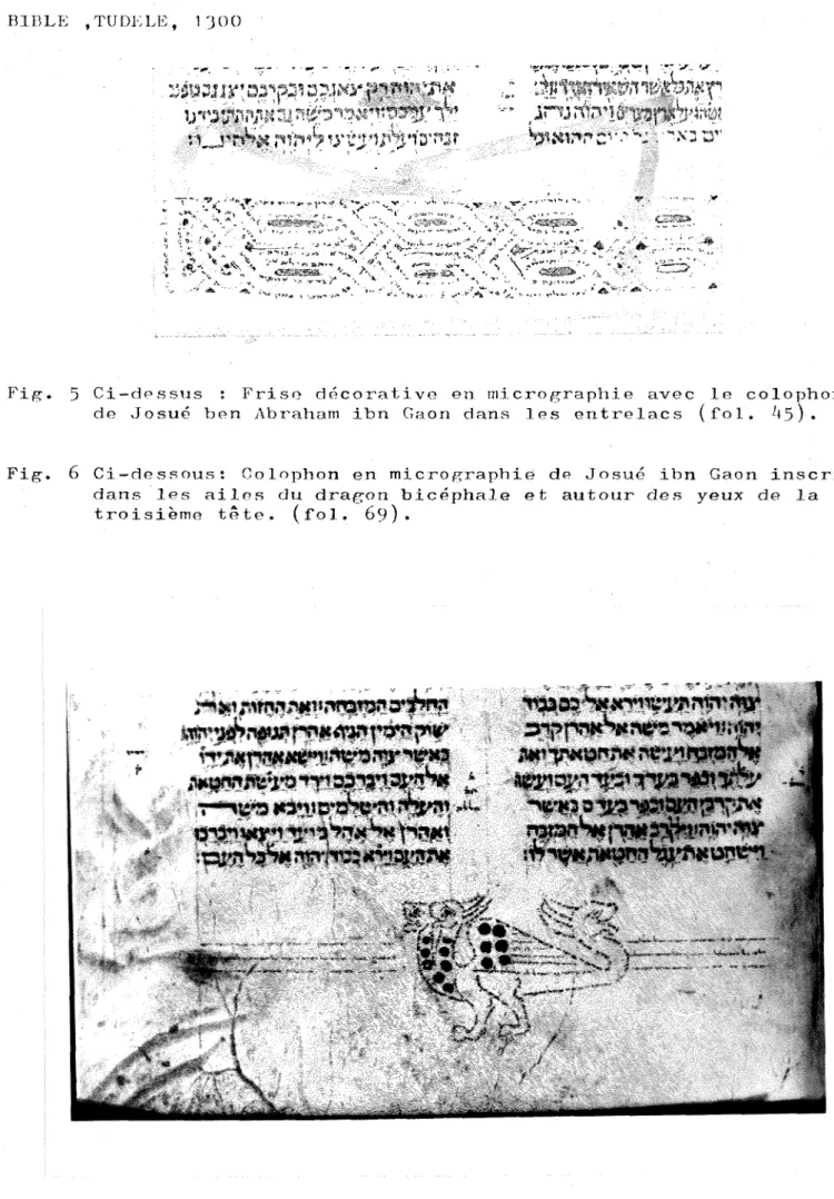 Fig.  5 Ci-dessus :  Friso decorative en micrographie avec  le colophon  de Josue ben Abraham ibn Gaon dans les entrelacs (fol