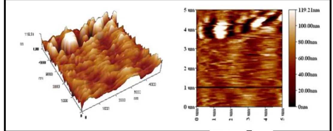 Figure 5 shows the morphology of Sb surface and right inset show the optical micrograph of bulk silicon n-Si and PS surface formed at 20 mA/cm etching current density for etching time of  10min