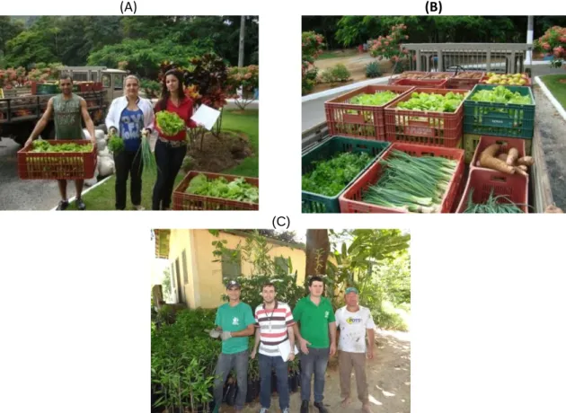 Figura 3 - Nutricionistas de Iconha recebendo os produtos (A), diversidade de produtos para  alimentação escolar (B) e distribuição de mudas de laranja para agricultores (C)
