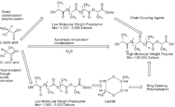 Figure 1.6 – Les méthodes de synthèse pour l’obtention d’un PLA à haut poids moléculaire [Auras2004]