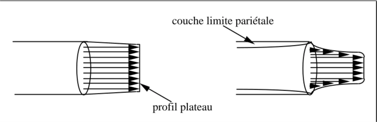 Figure 1-9 : Effet de la couche limite sur le profil des vitesses en sortie de bouche