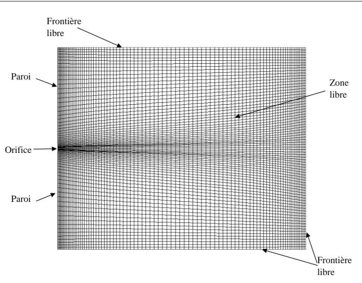 Figure 2-1: Grille de calcul pour le jet plan de mur