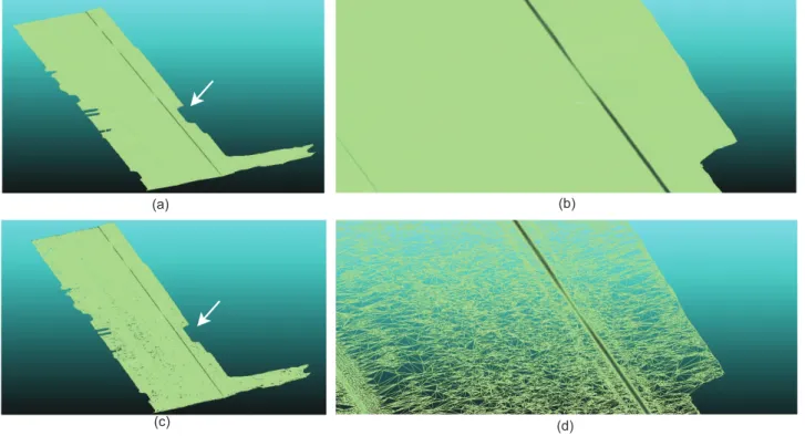 Figure 4: Decimation results obtained for the dataset Urban ♯1: (a) full resolution smoothed mesh: N t = 2.54 Mpts; (b) zoom-in view in the area around the sidewalk border indicated by the white arrow from Figure (a); (c) wire-frame view of the decimated m