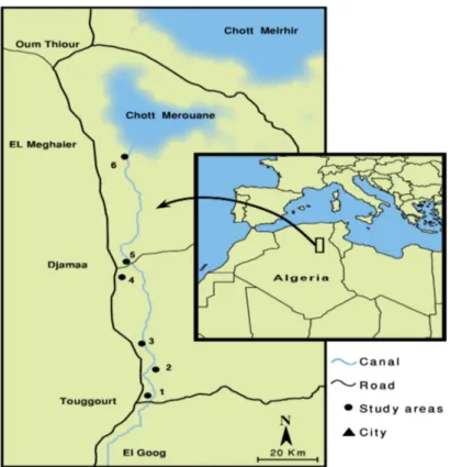 Figure 1: Map of the region of Oued Righ with the location of the research localities
