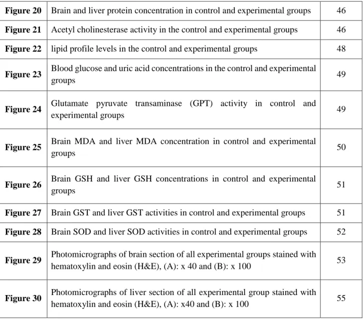 Figure 20  Brain and liver protein concentration in control and experimental groups  46  Figure 21  Acetyl cholinesterase activity in the control and experimental groups  46  Figure 22  lipid profile levels in the control and experimental groups  48  Figur