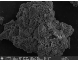 Figure 13: Scanning electron microscopy images of the biosynthesized CuNPs  1.2.4. XRD analysis 