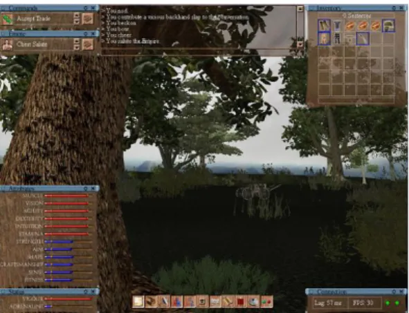 Figure 2. Original MMOG screenshot.