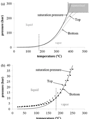 Fig. 1. Temperature and pressure profiles as function of time obtained experimen- experimen-tally during the heating of a glucose solution in the 500 mL batch reactor.