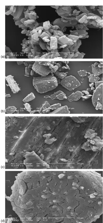 Fig. 5. Differential scanning calorimetry thermograms of ketoprofen, !- !-cyclodextrin, physical mixture and complex.