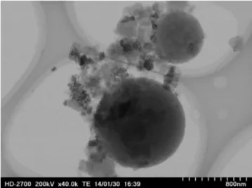 Fig. 6. Solid obtained after 350 ◦ C, 25 MPa, 60 min of reaction time, without catalyst.