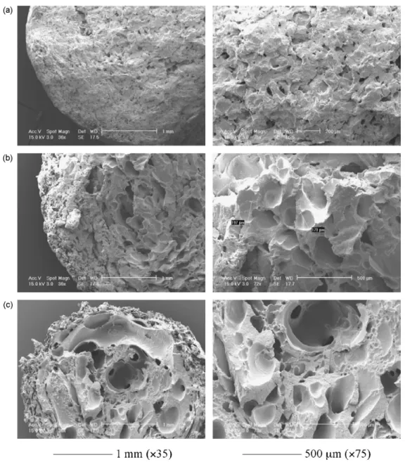 Fig. 2. SEM pictures of samples cooled in air processed at P mat = (12 ± 1) MPa, C CO 2 = (5 ± 0.2)% and (a) T mat = 175 ◦ C; (b) T mat = 185 ◦ C; (c) T mat = 200 ◦ C.