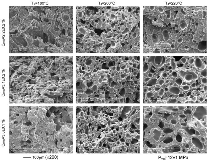 Fig. 4. SEM pictures of samples cooled in water processed at P mat = (12 ± 1) MPa.