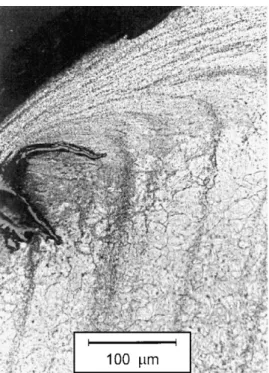 Fig. 6. Tempered martensitic laths, elongated and highly deformed by plastic shear staining on the pin sub-surface after 1 h of friction (700 ◦ C–20 N–3600 s).