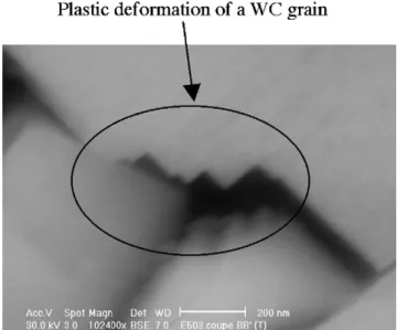 Fig. 10. SEM micrograph of the pin cross-section (AA ′ orientation) (600 m/min –60 N–1 h)