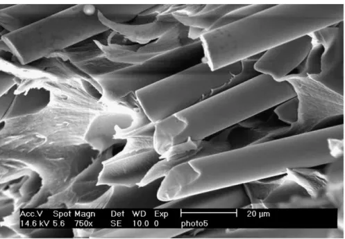 Fig. 3. SEM image of the glass fibres.