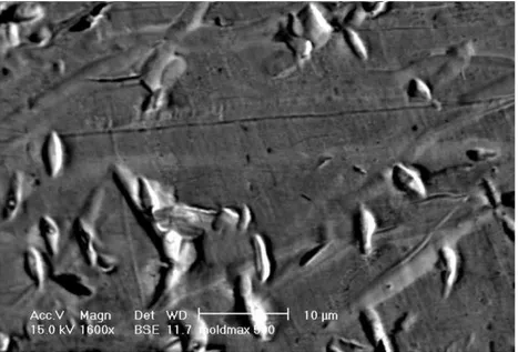 Fig. 10. MOLDMAX, jetting injection conditions 500 shots, SEM image close to the leading edge.