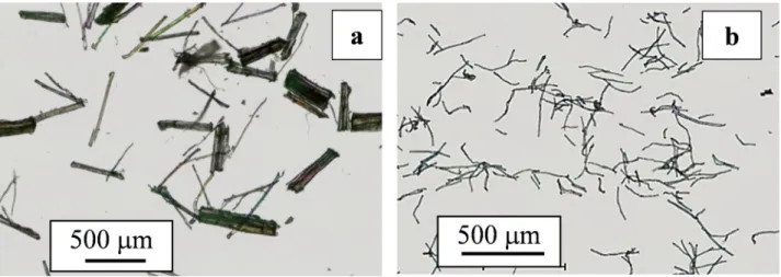 FIG. 1. Images of the fibers before processing taken with optical microscope: (a) flax fibers and (b) Tencel V R fibers.